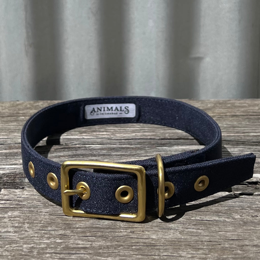 Eco friendly dog collar, navy blue, Erskineville, Sydney, Australia