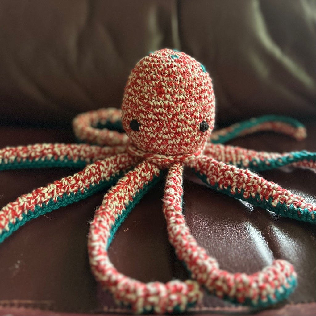 Asiki Crocheted Octopus Eco Toy