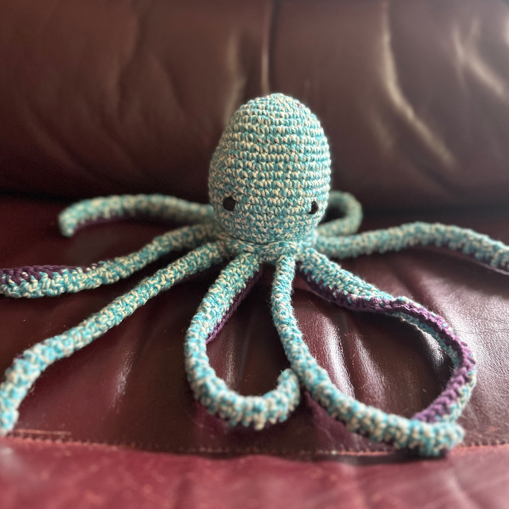 Asiki Crocheted Octopus Eco Toy