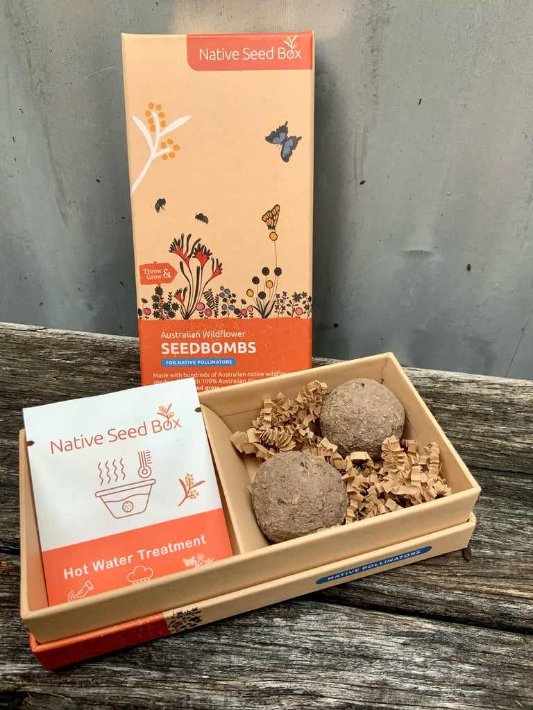 Open box of Australian Wildflower Seedbombs that attract native bees and butterflies. Available at Asiki eco store, Sydney, Australia. 