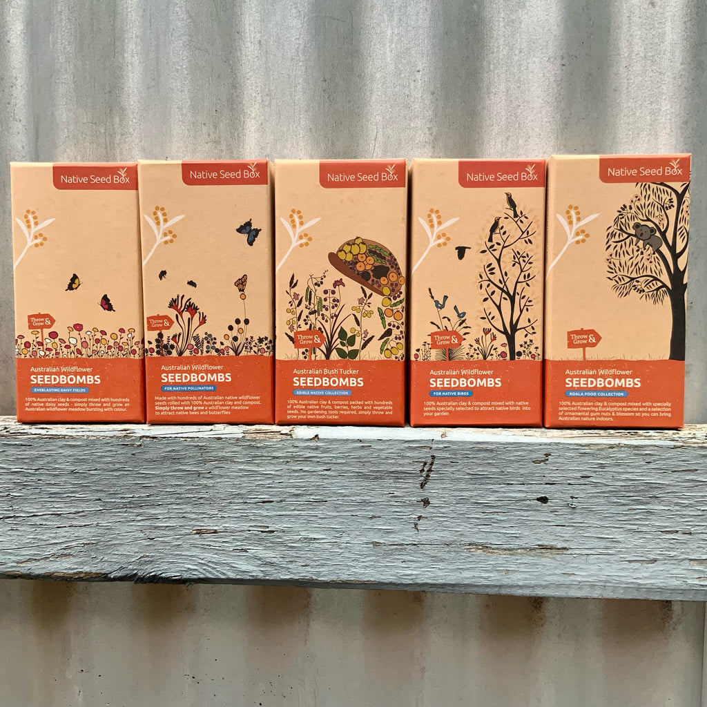Five  boxes of Australian Native Seedbombs lined up on a grey fence. Each box has an illustration depicting its purpose, eg to attract bees, butterflies or birds, grow bush tucker or regenerate endangered koala habitat. Photo by Asiki eco store, Sydney, Australia.