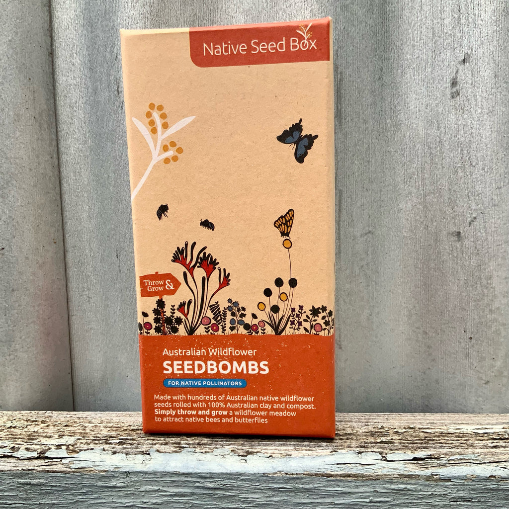 Box of Australian wildflower seed bombs for Native Pollinators such as bees and butterflies. Available at Asiki eco store, Erskineville, Sydney, Australia. 