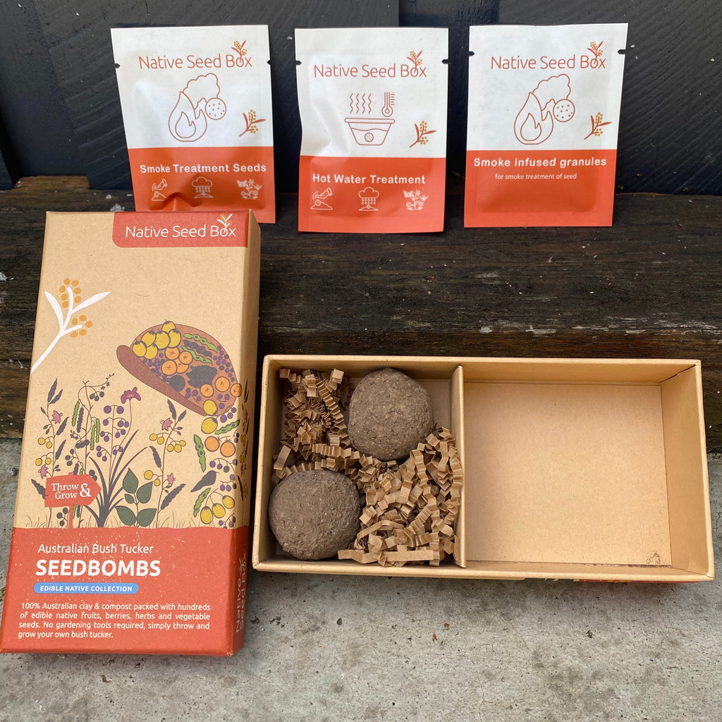 Open box of Australian Bush Tucker Seedbombs available at Asiki eco store, Sydney, Australia.