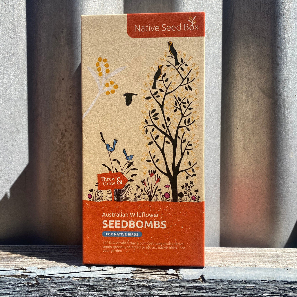 A box of Australian Native Wildflower Seedbombs that attract native birds. The box is sitting on a grey fence. Photo by Asiki Eco Store, Sydney, Australia.