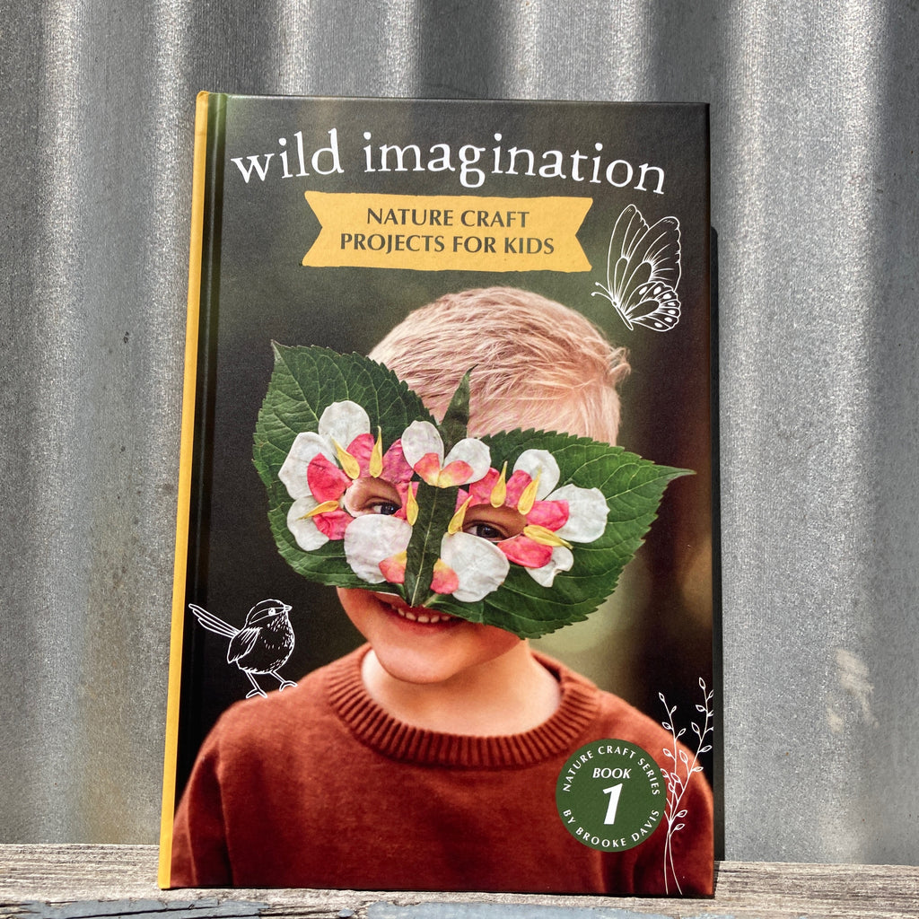 Wild Imagination by Brooke Davis